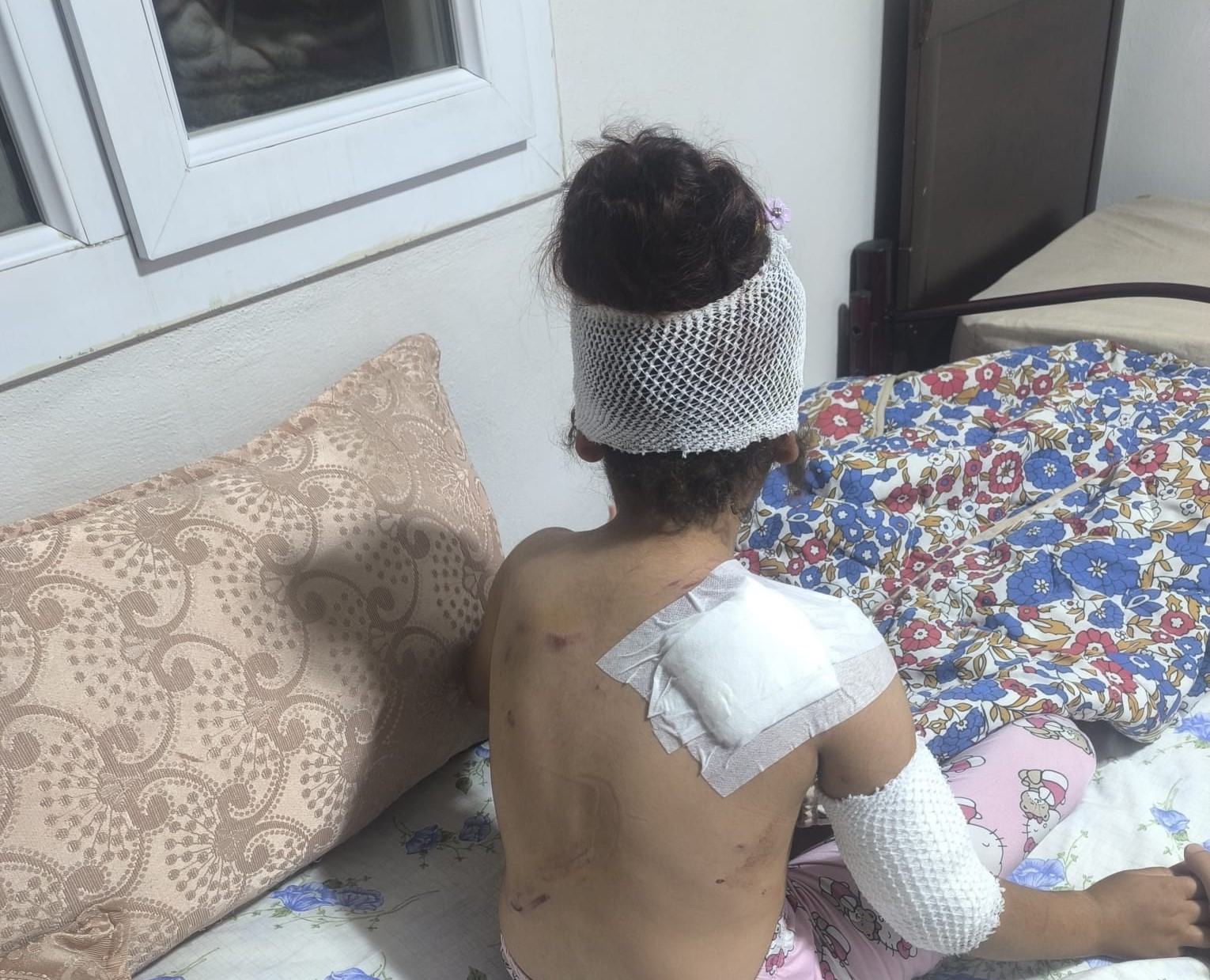 Suruç’ta başıboş köpekler 8 yaşındaki çocuğa saldırdı