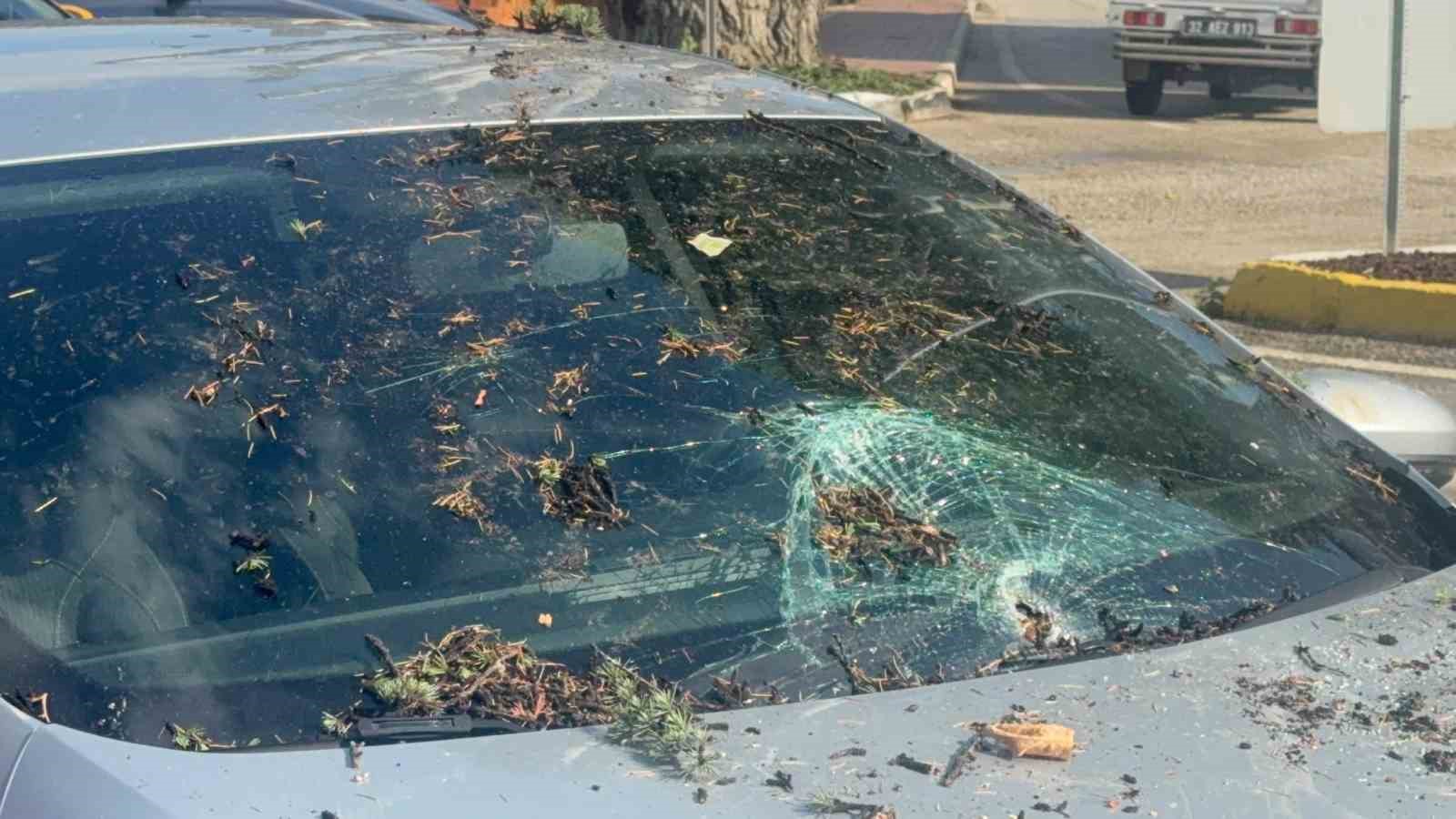 Fırtınada kökünden sökülen ağaç otomobilin üzerine devrildi