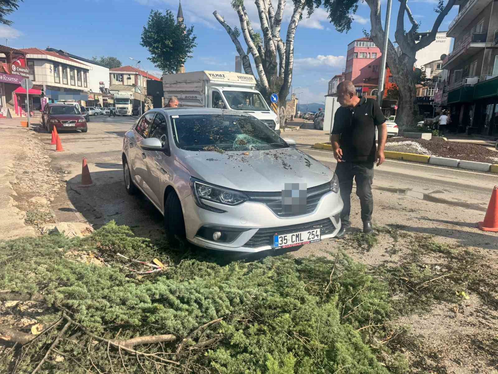 Fırtınada kökünden sökülen ağaç otomobilin üzerine devrildi