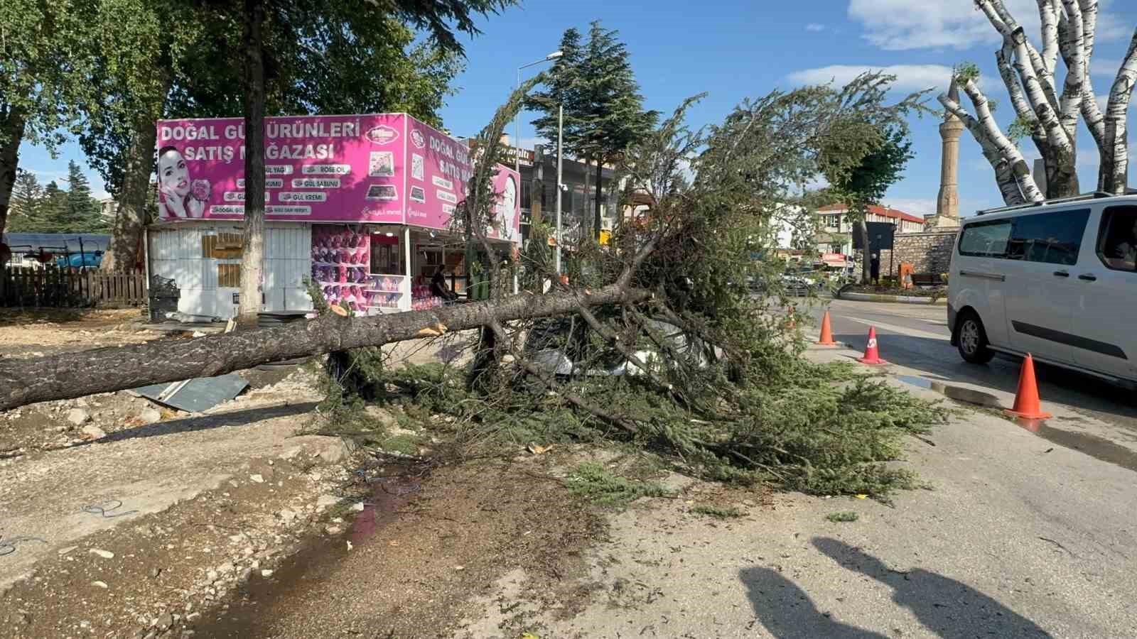 Fırtınada kökünden sökülen ağaç otomobilin üzerine devrildi