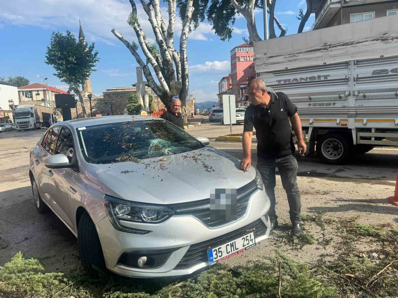 Fırtınada kökünden sökülen ağaç otomobilin üzerine devrildi
