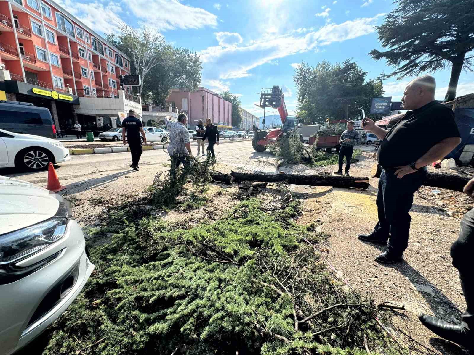 Fırtınada kökünden sökülen ağaç otomobilin üzerine devrildi