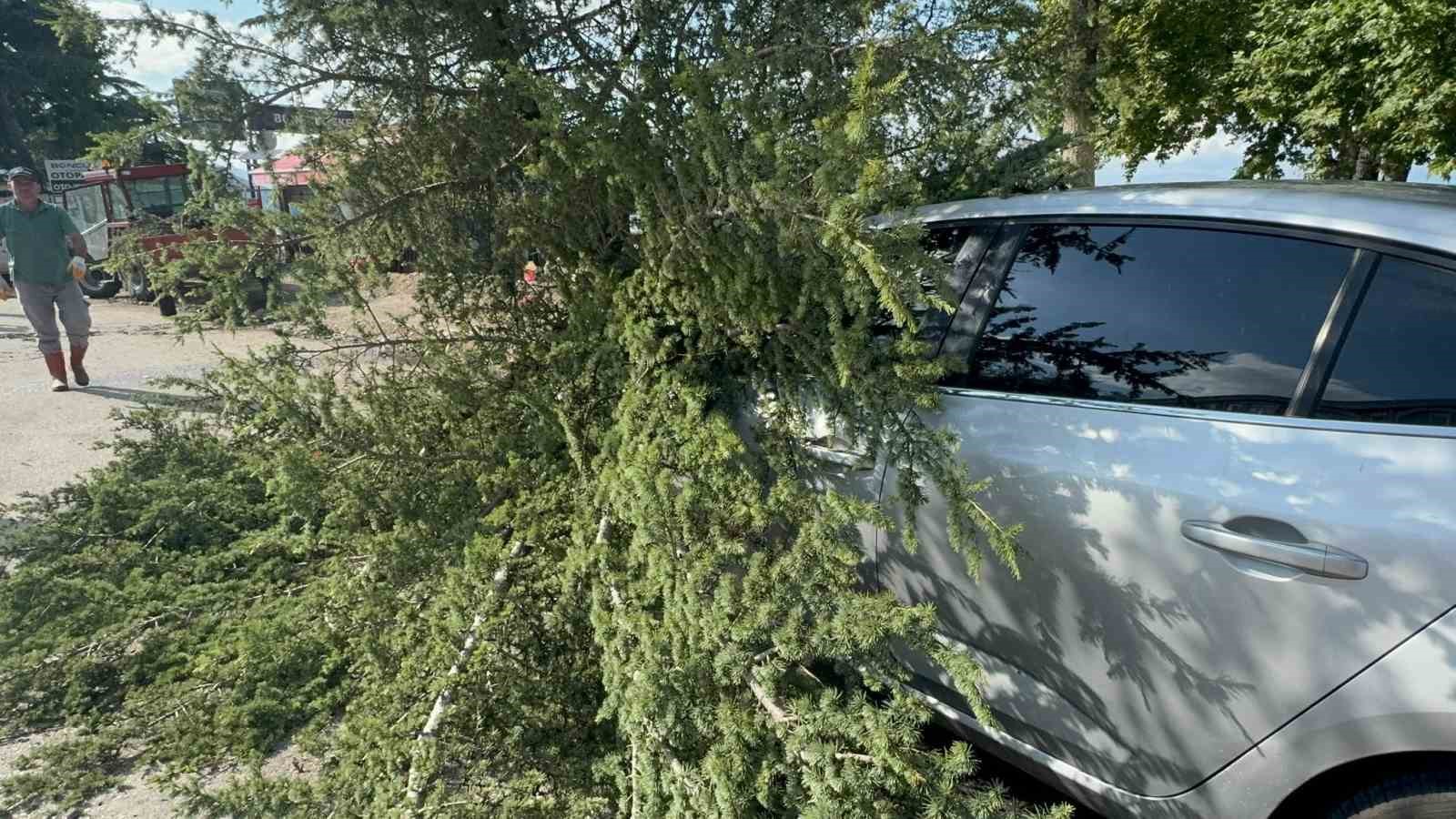 Fırtınada kökünden sökülen ağaç otomobilin üzerine devrildi