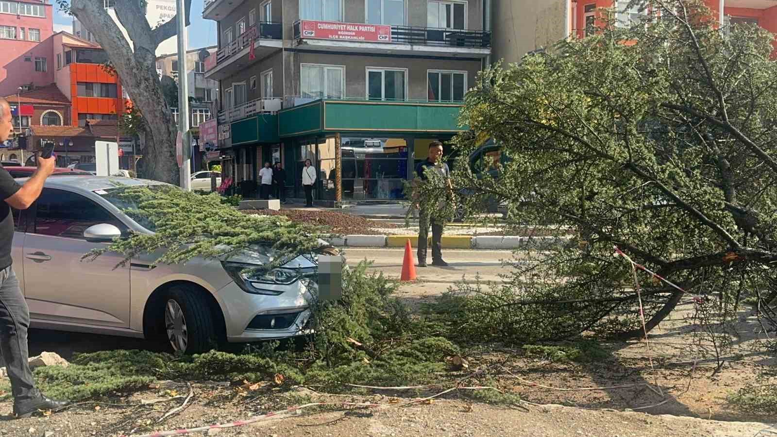Fırtınada kökünden sökülen ağaç otomobilin üzerine devrildi