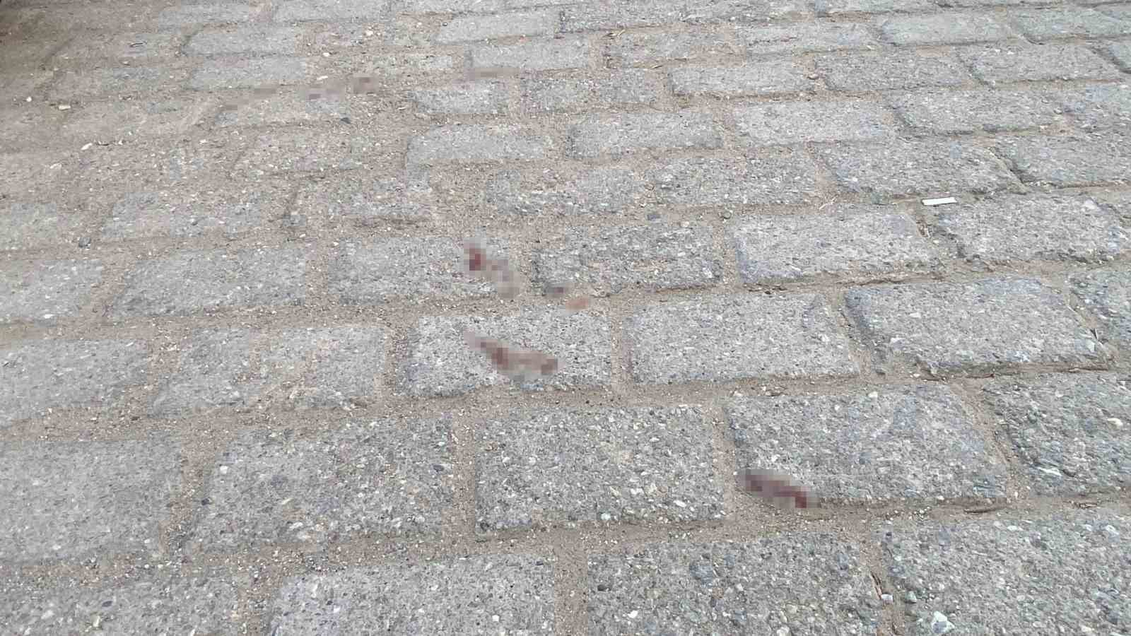 Boşanma aşamasındaki damat, kayınpederi tarafından tüfekle vuruldu