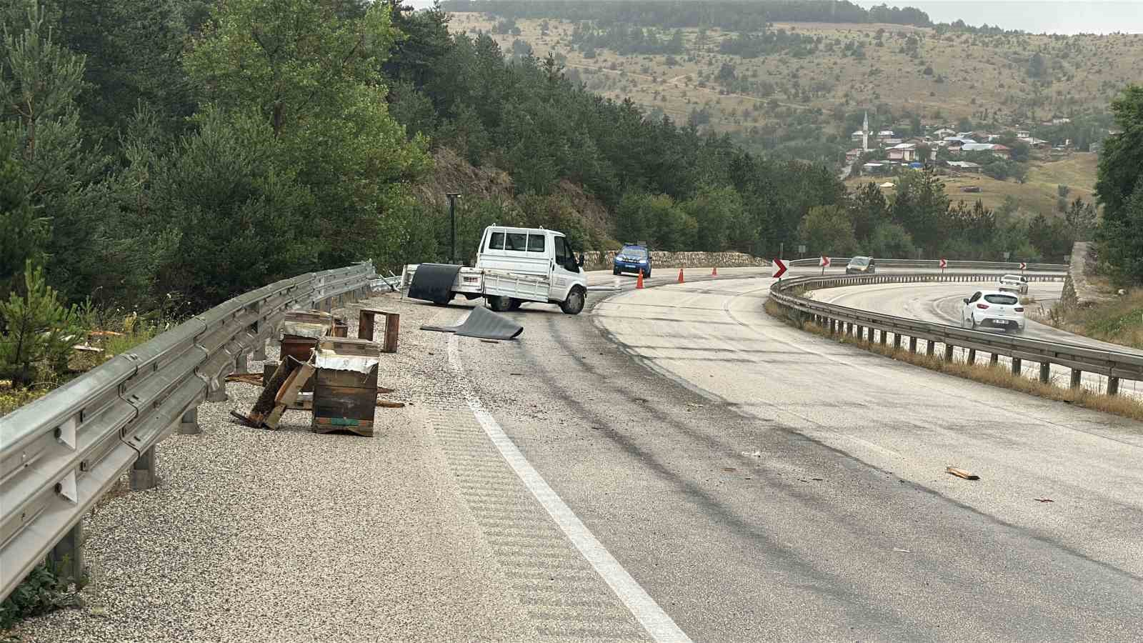 Kastamonu’da kamyonet bariyerlere çarptı: Etrafa saçılan kovandaki arılar telef oldu