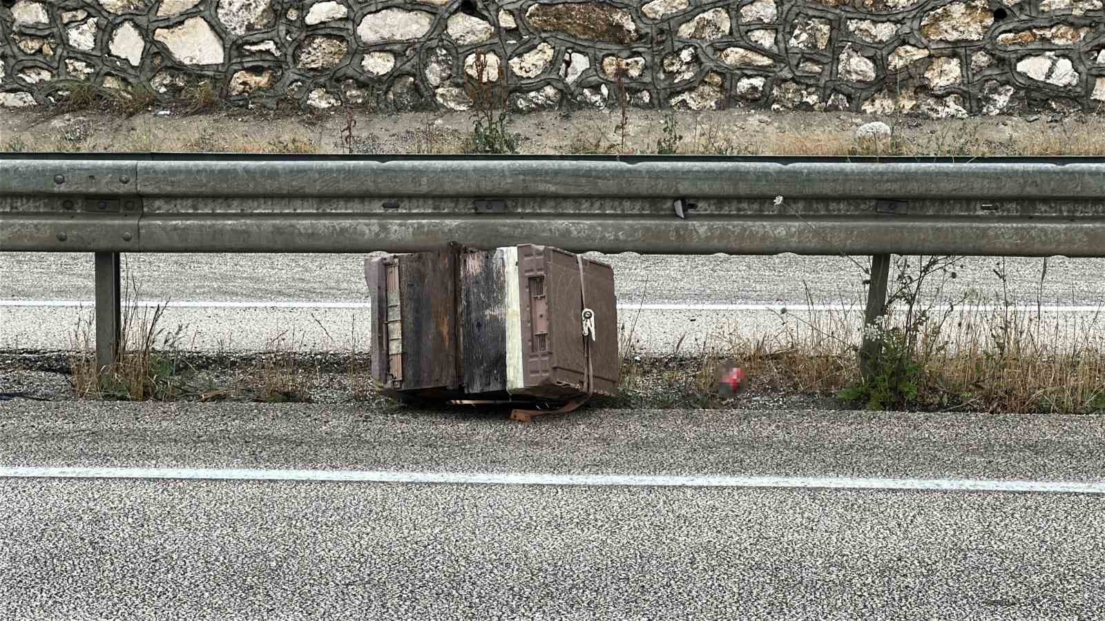 Kastamonu’da kamyonet bariyerlere çarptı: Etrafa saçılan kovandaki arılar telef oldu