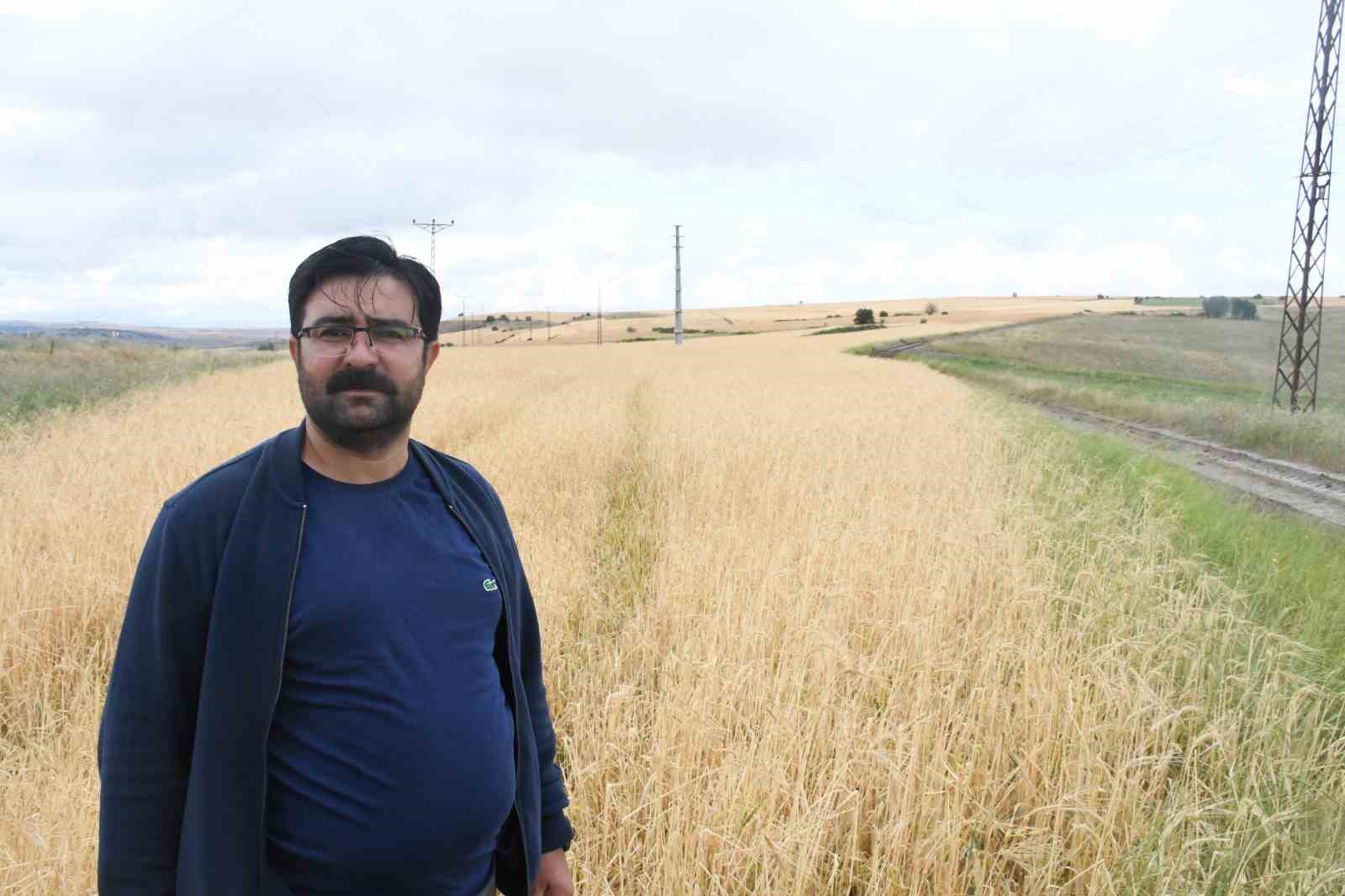 Yozgat’ta dolu tarım alanlarını vurdu, köylüler afet bölgesi ilanı istedi