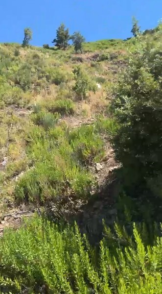 Antalya’da otomobil uçuruma yuvarlandı: 5 ölü, 2 yaralı