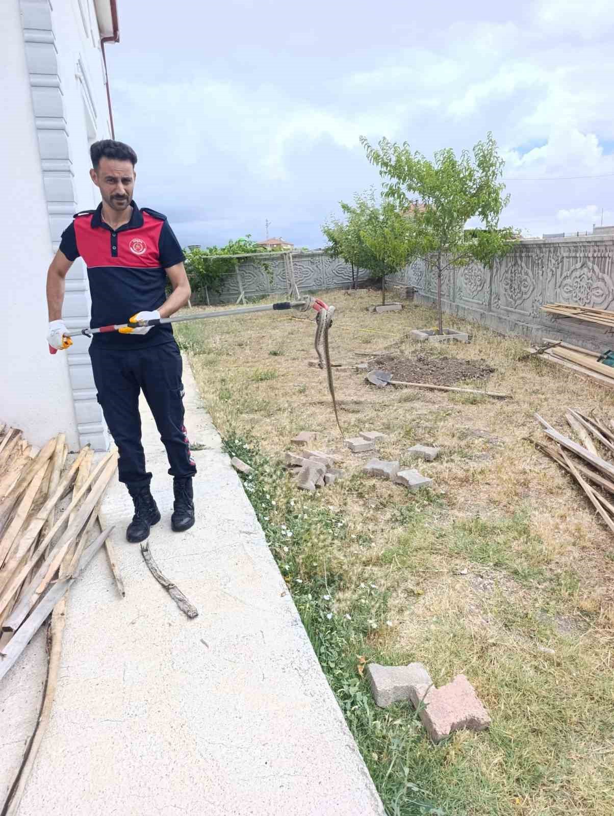 Sivas’ta odun yığınlarının arasına giren yılan itfaiye ekiplerini harekete geçirdi