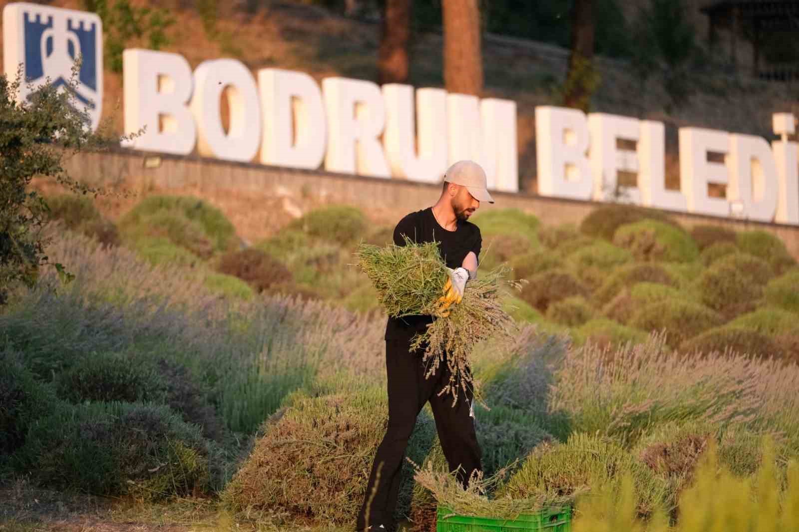 Tarım Kampı’nın 2. Dönemi tamamlandı