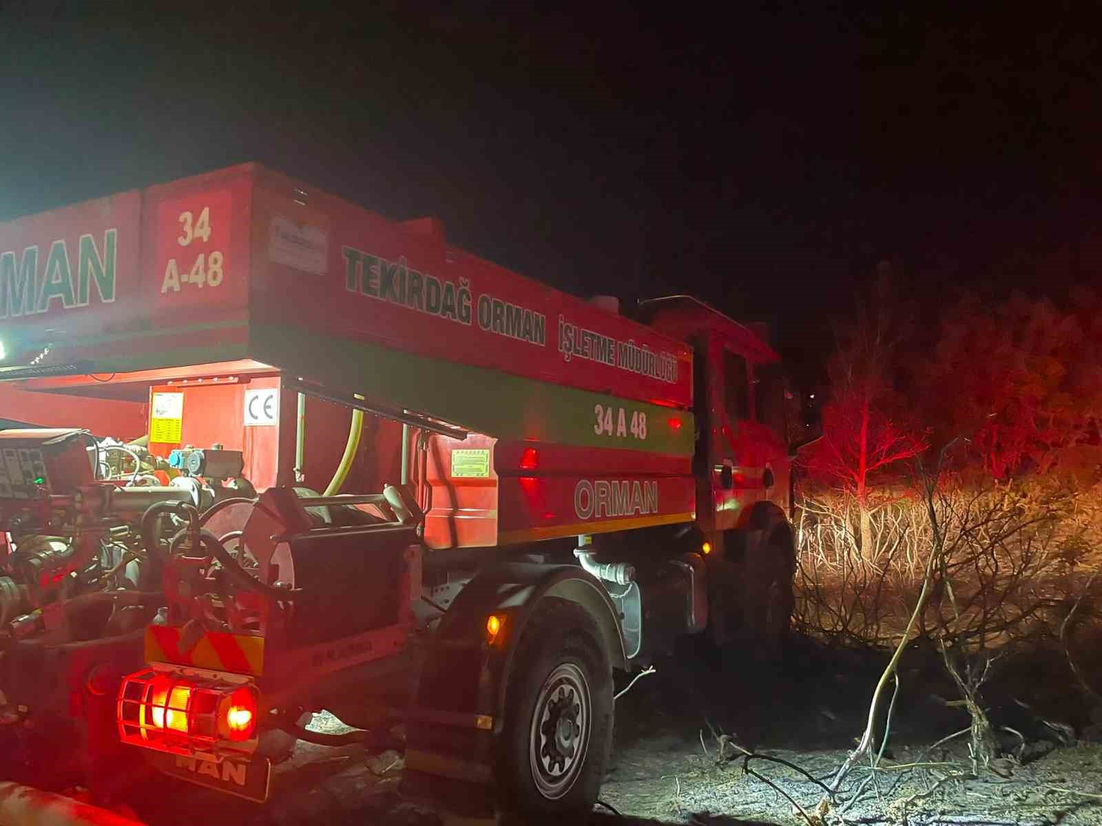Tekirdağ’daki orman yangınında 90 dekarlık alan zarar gördü