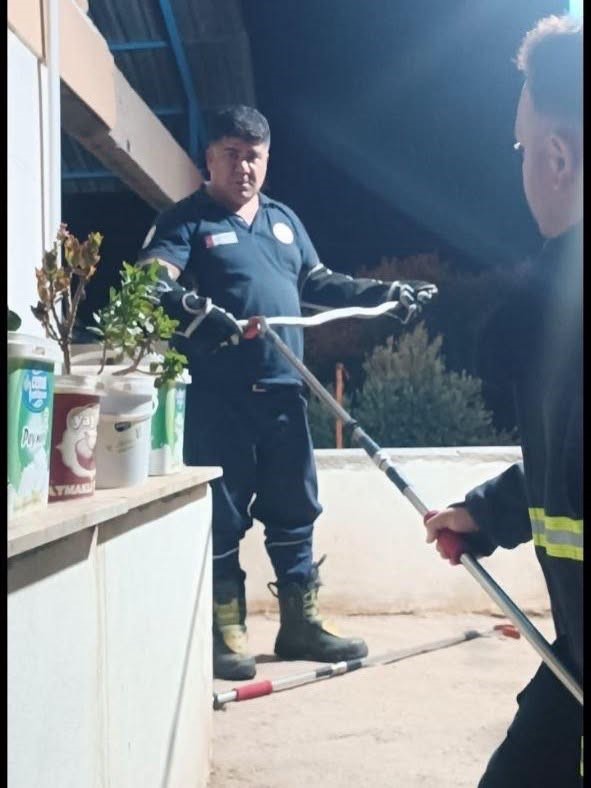 Hassa ve Erzin’de yerleşim alanlarına giren yılanları itfaiye yakaladı