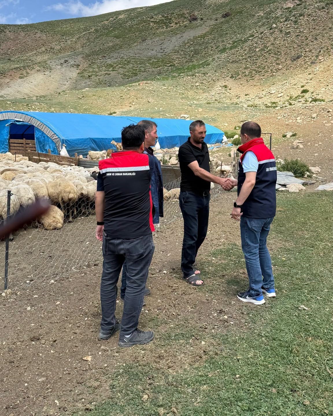 Erzincan Tulum Peyniri yaylalarda geleneksel yöntemlerle üretiliyor
