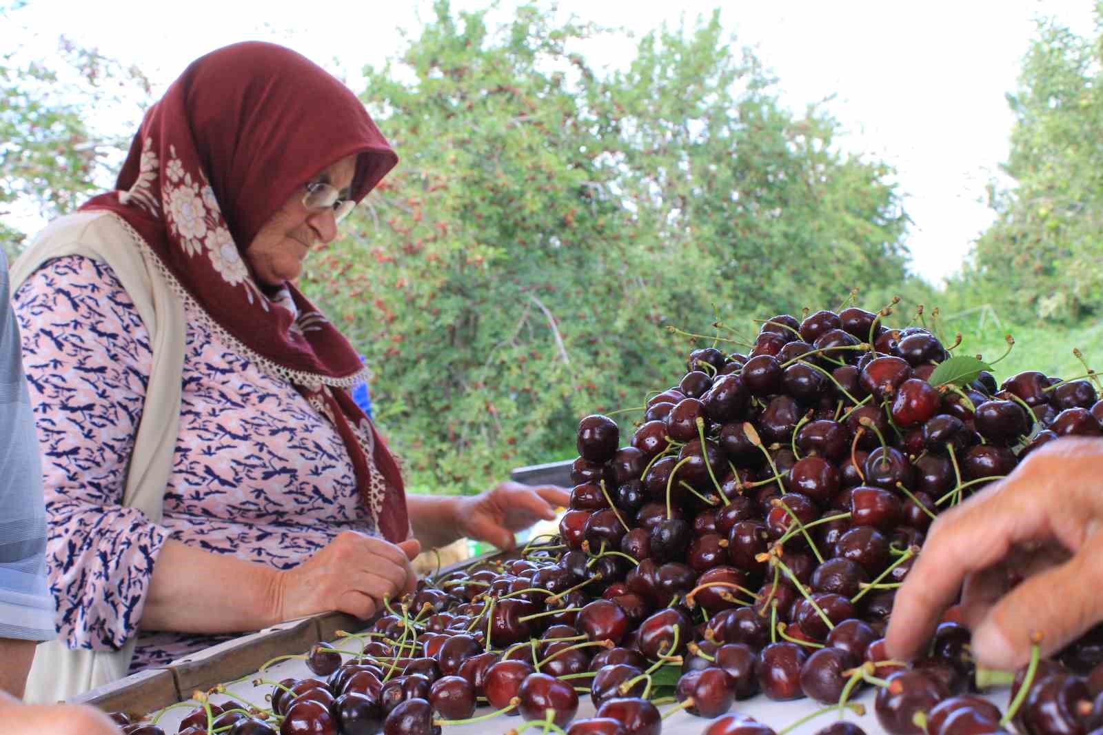 ABD ve Avrupa kirazda bu aromayı özellikle istiyor