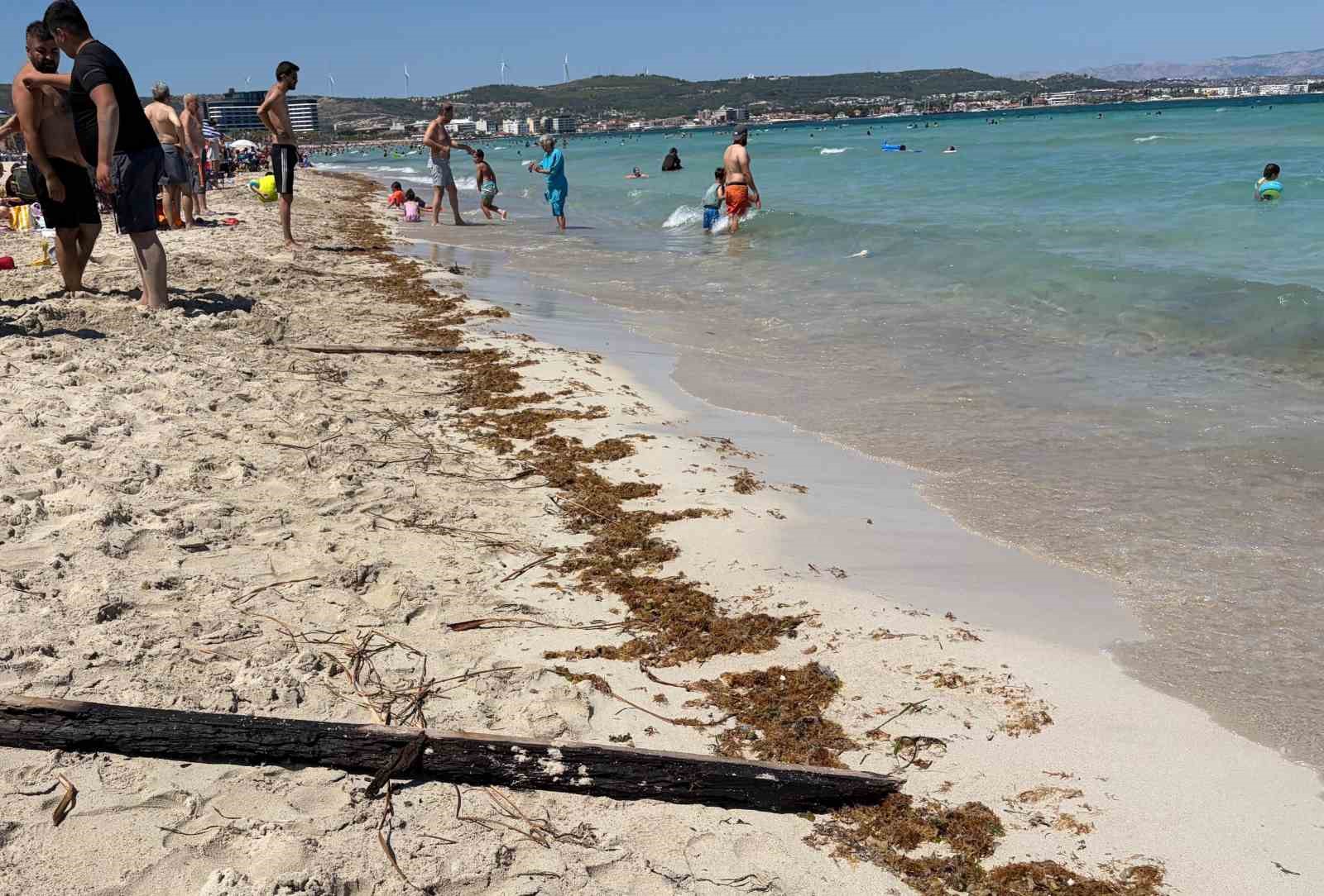 Çeşme sahillerindeki kirlilik tatilcilerin tepkisine neden oldu