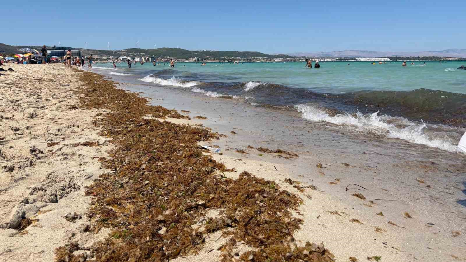 Çeşme sahillerindeki kirlilik tatilcilerin tepkisine neden oldu