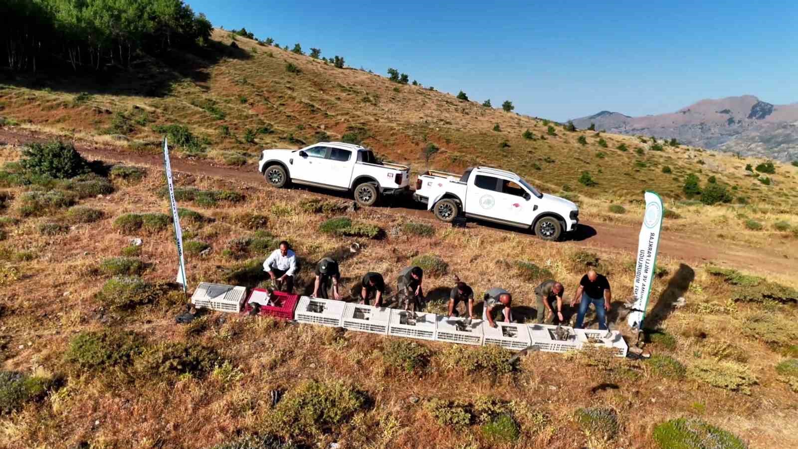 Diyarbakır’da keneye karşı doğal mücadele