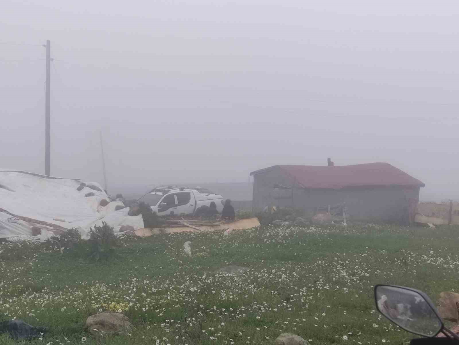 Sis altındaki yaylada gençler atları şaha kaldırdı