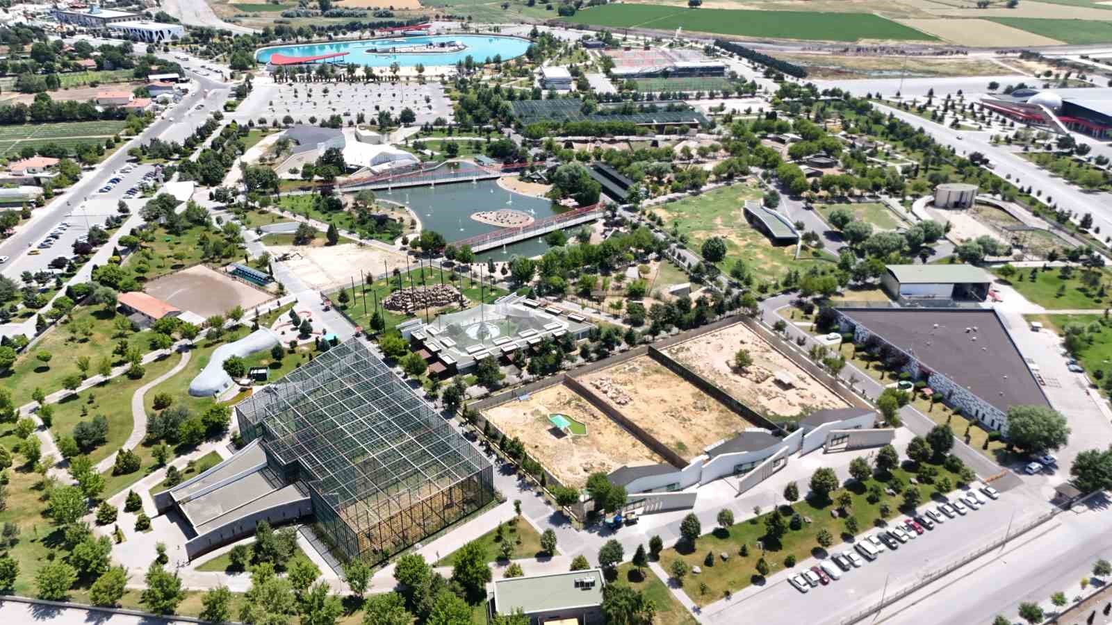 Kayseri’de hayvanlara yaz menüsü: Buz kokteyli