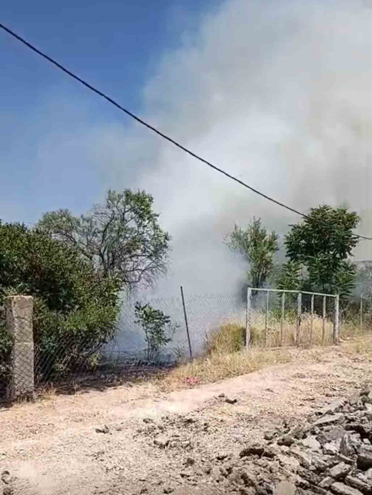 Siirt’te evin bahçesinde çıkan yangında meyve ağaçları kül oldu