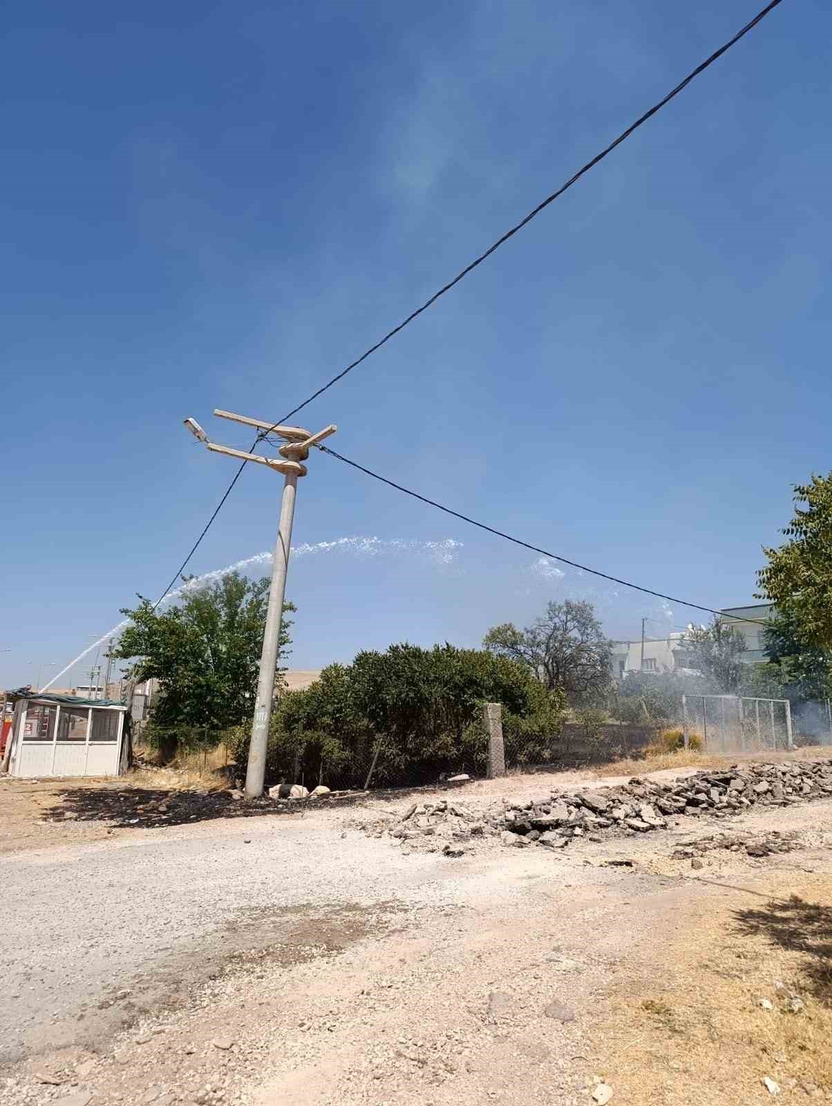 Siirt’te evin bahçesinde çıkan yangında meyve ağaçları kül oldu