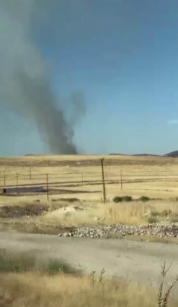 Diyarbakır’da ağaçlık alanda yangın