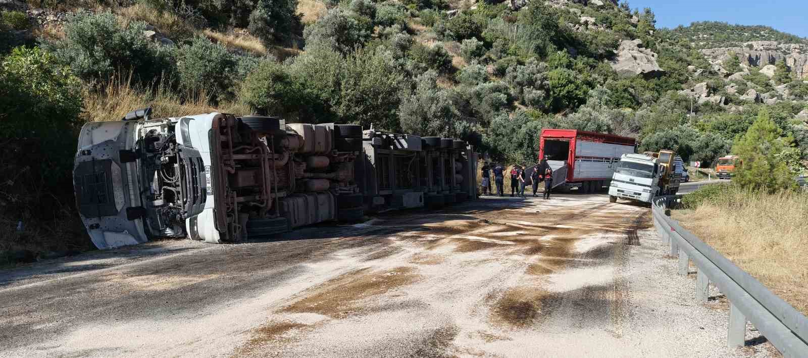 Mersin’de büyükbaş hayvan yüklü tır devrildi: Çok sayıda hayvan telef oldu