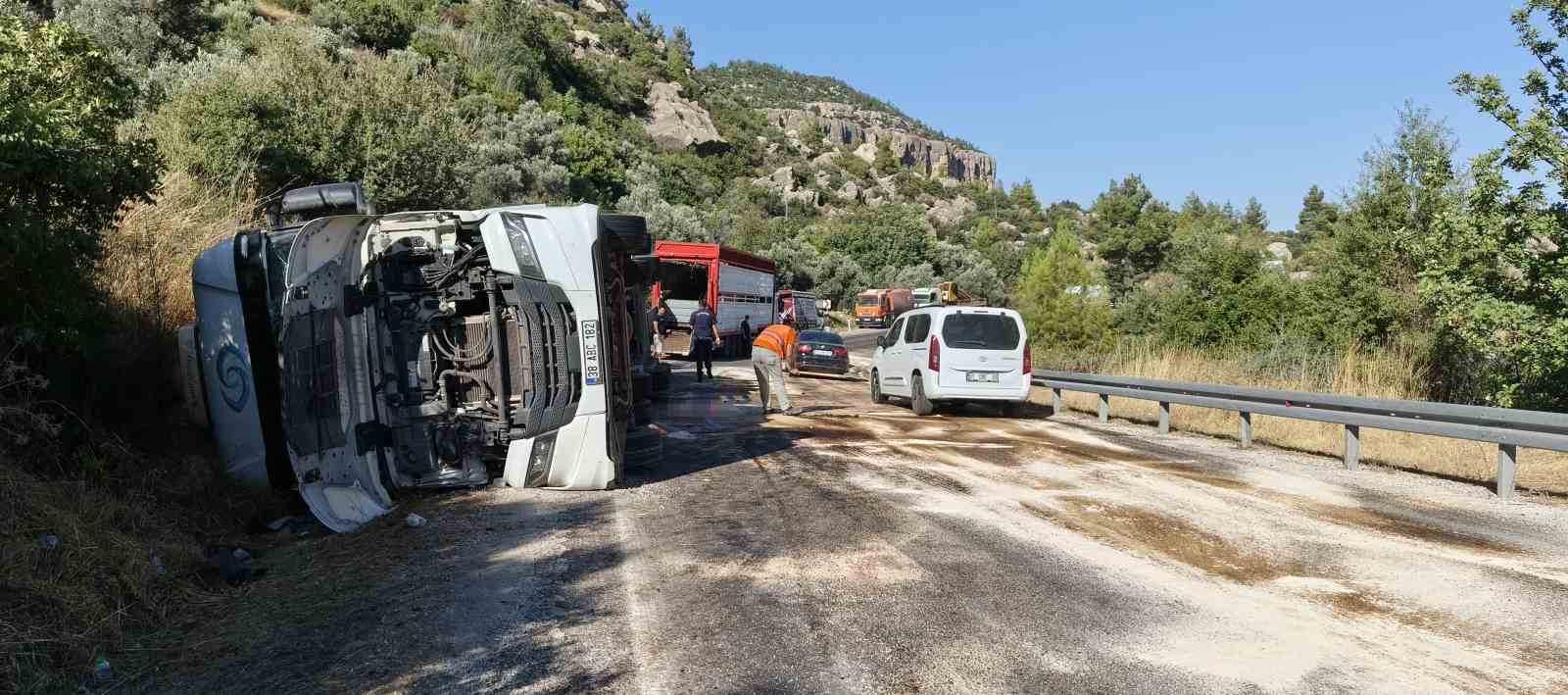 Mersin’de büyükbaş hayvan yüklü tır devrildi: Çok sayıda hayvan telef oldu