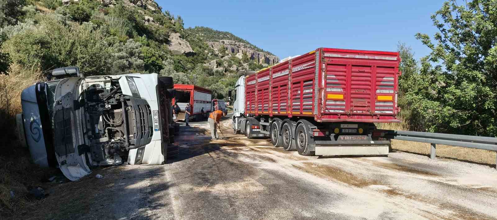 Mersin’de büyükbaş hayvan yüklü tır devrildi: Çok sayıda hayvan telef oldu