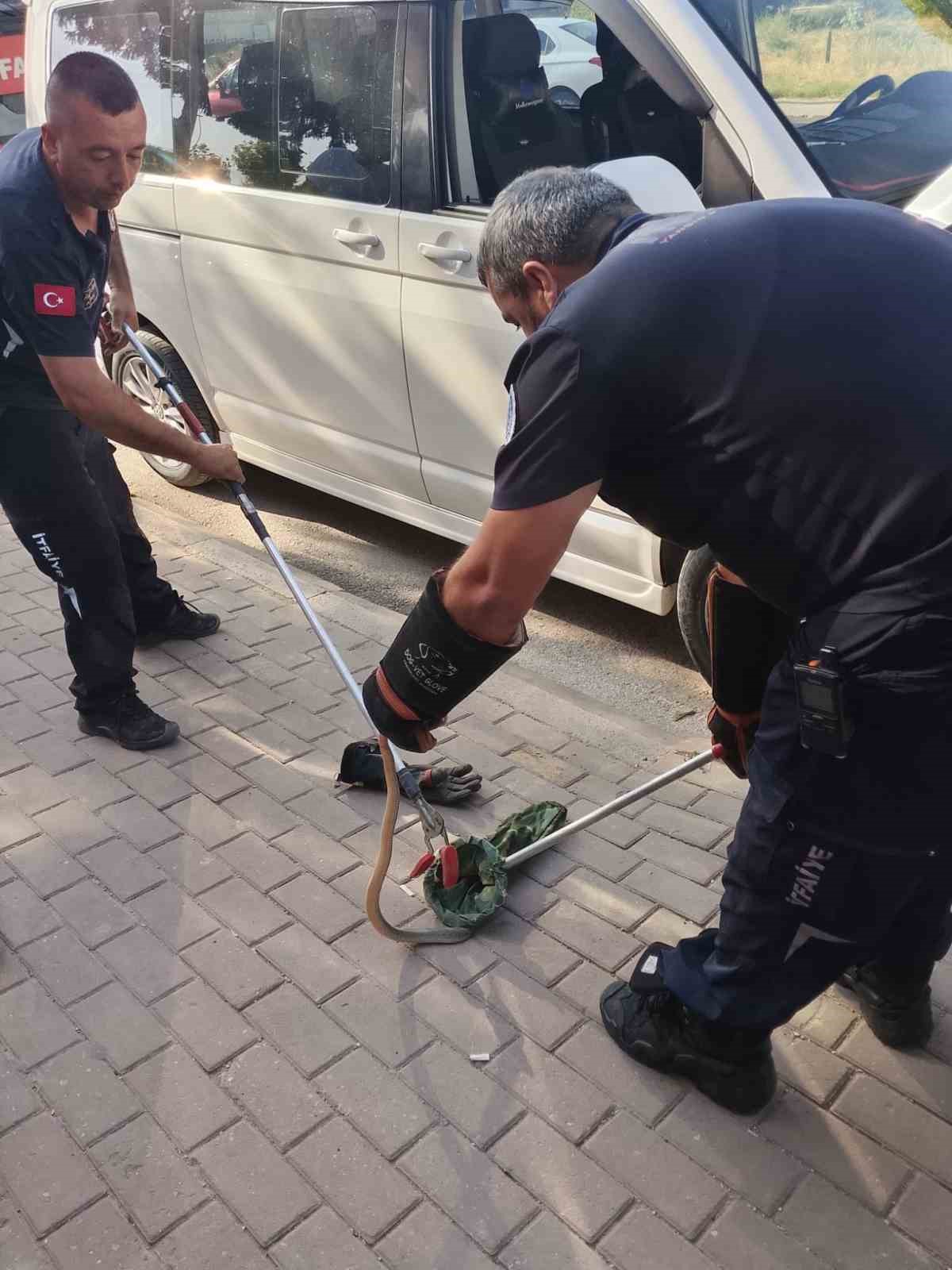 Minibüsün motoruna giren yılan itfaiye ekiplerini harekete geçirdi