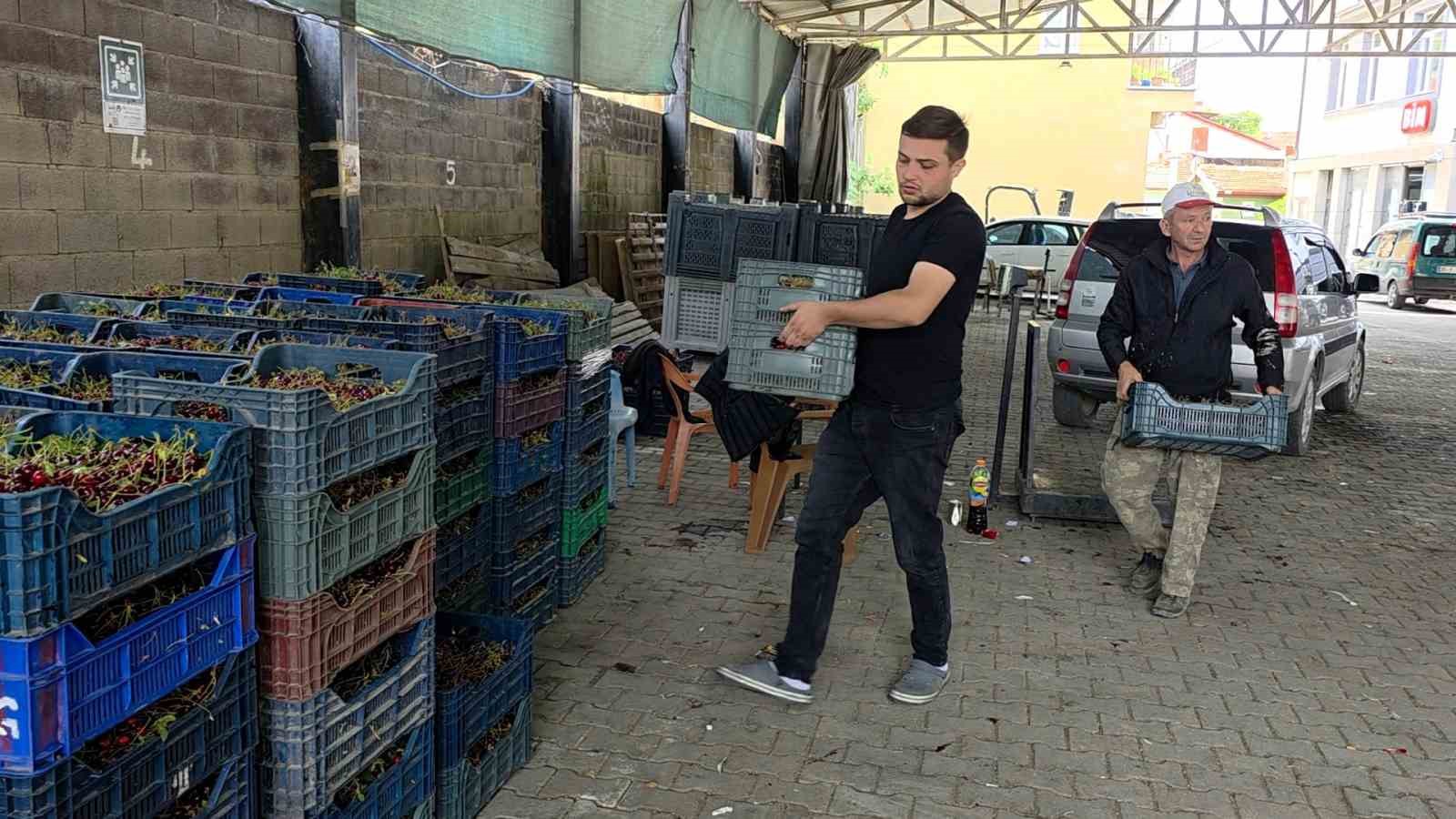 Kütahyalı vişne üreticileri taban fiyat ve fiyat istikrarı istiyor