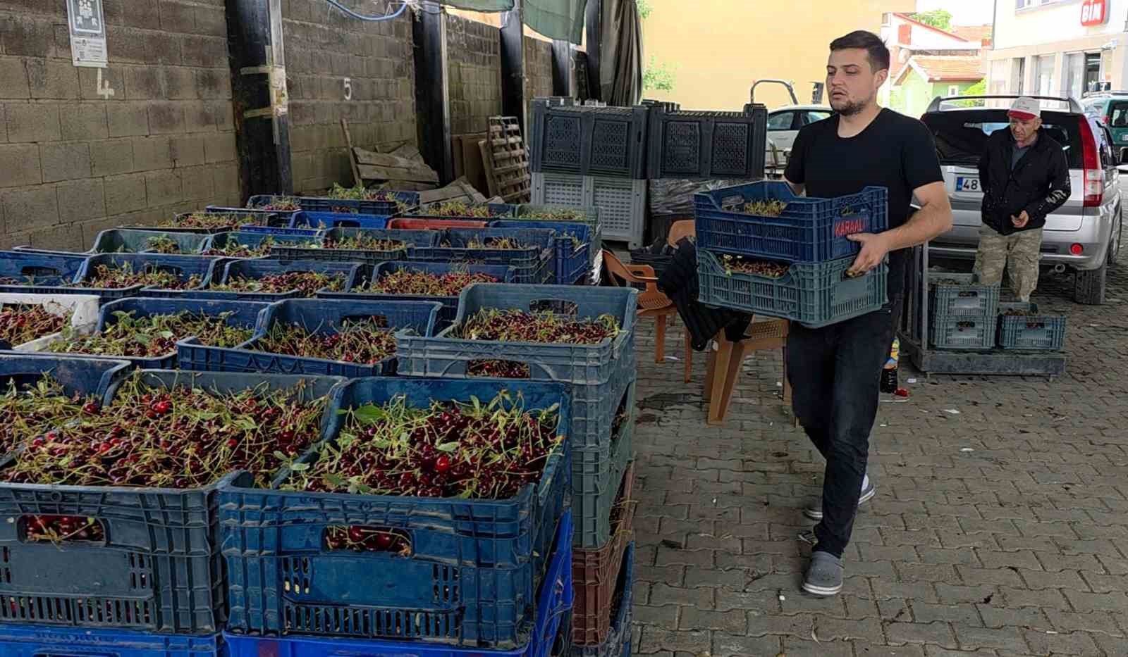 Kütahyalı vişne üreticileri taban fiyat ve fiyat istikrarı istiyor