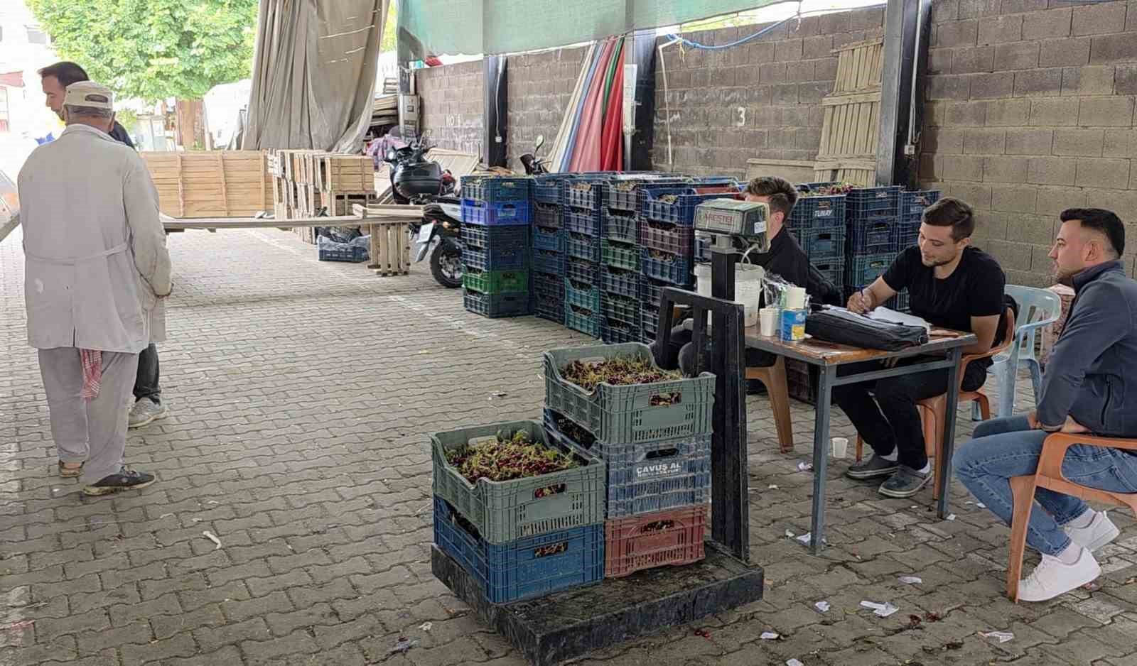 Kütahyalı vişne üreticileri taban fiyat ve fiyat istikrarı istiyor