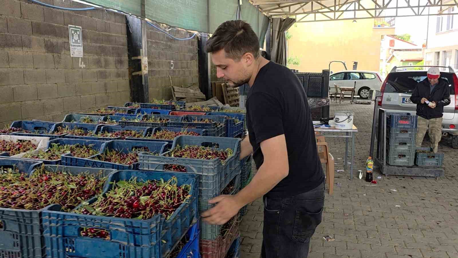 Kütahyalı vişne üreticileri taban fiyat ve fiyat istikrarı istiyor