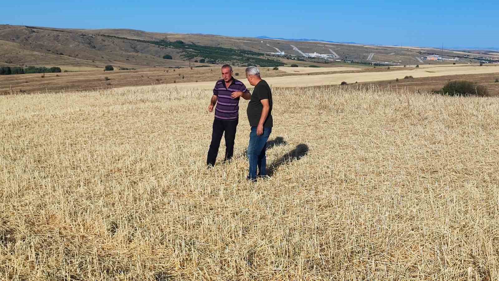Yozgat’ta bu tarlaları biçerdöver değil dolu biçti