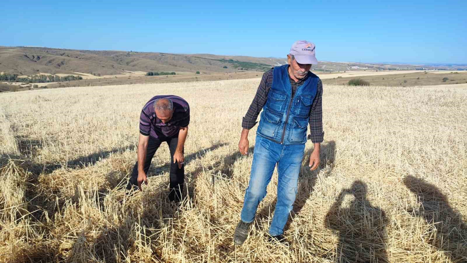 Yozgat’ta bu tarlaları biçerdöver değil dolu biçti