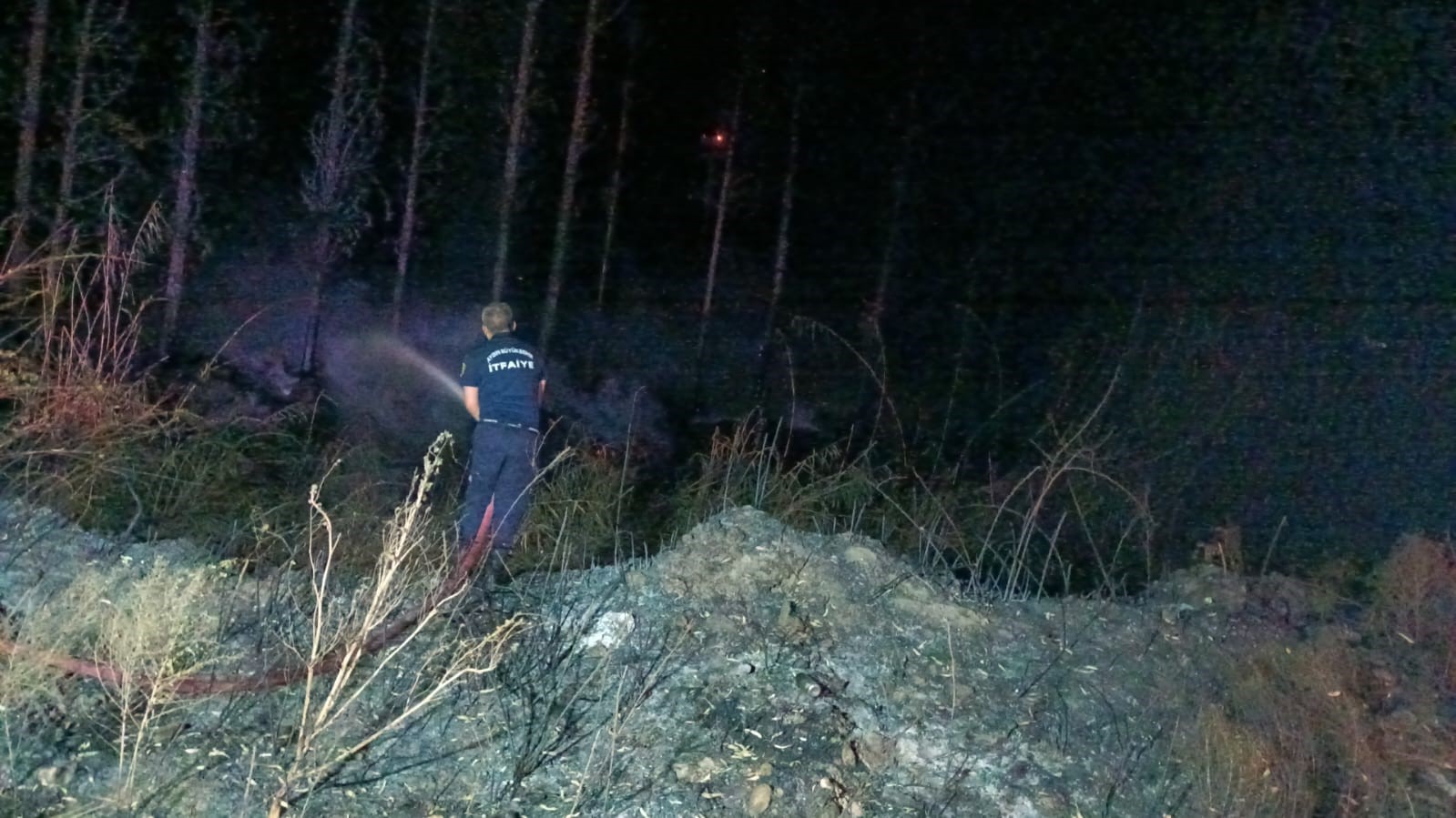 Aydın Büyükşehir İtfaiyesi 8 günde 445 yangına müdahale etti