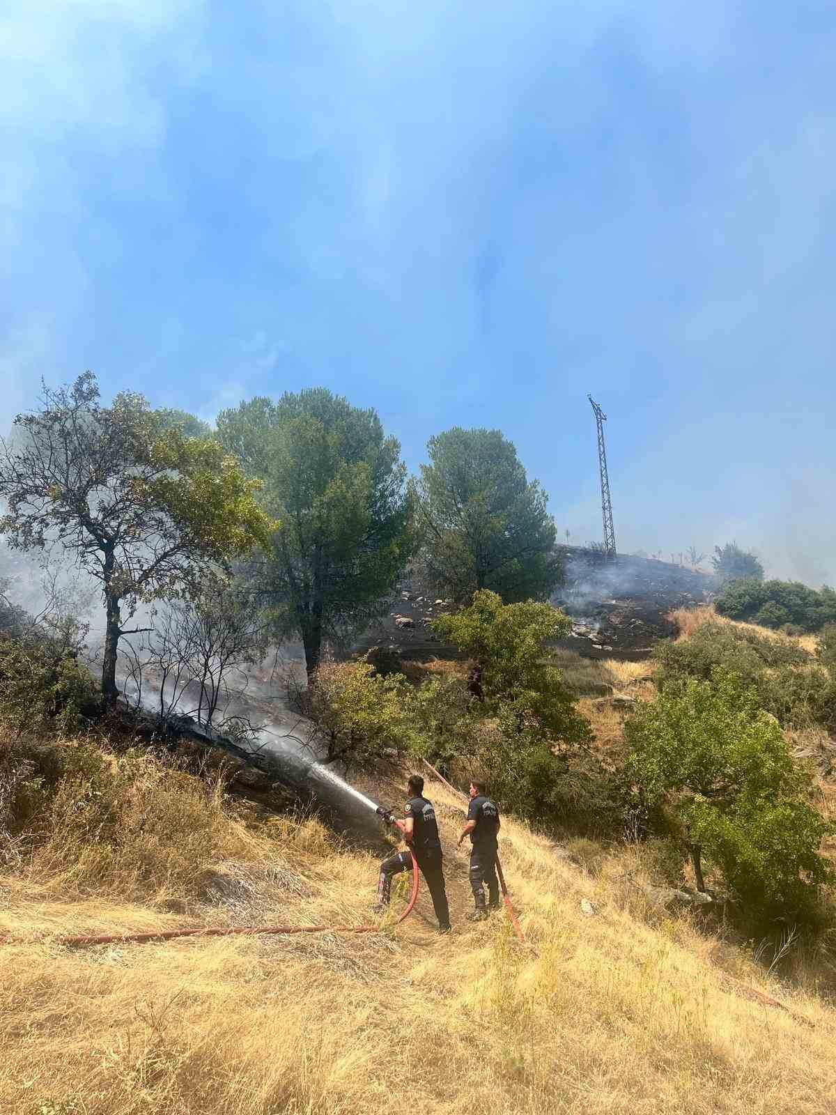 Aydın Büyükşehir İtfaiyesi 8 günde 445 yangına müdahale etti