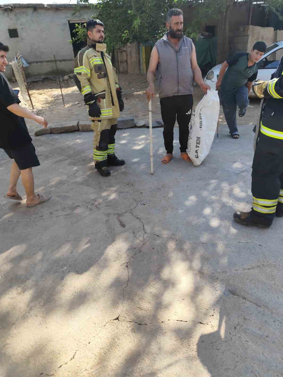 Yatak odasında çığlık attıran görüntü