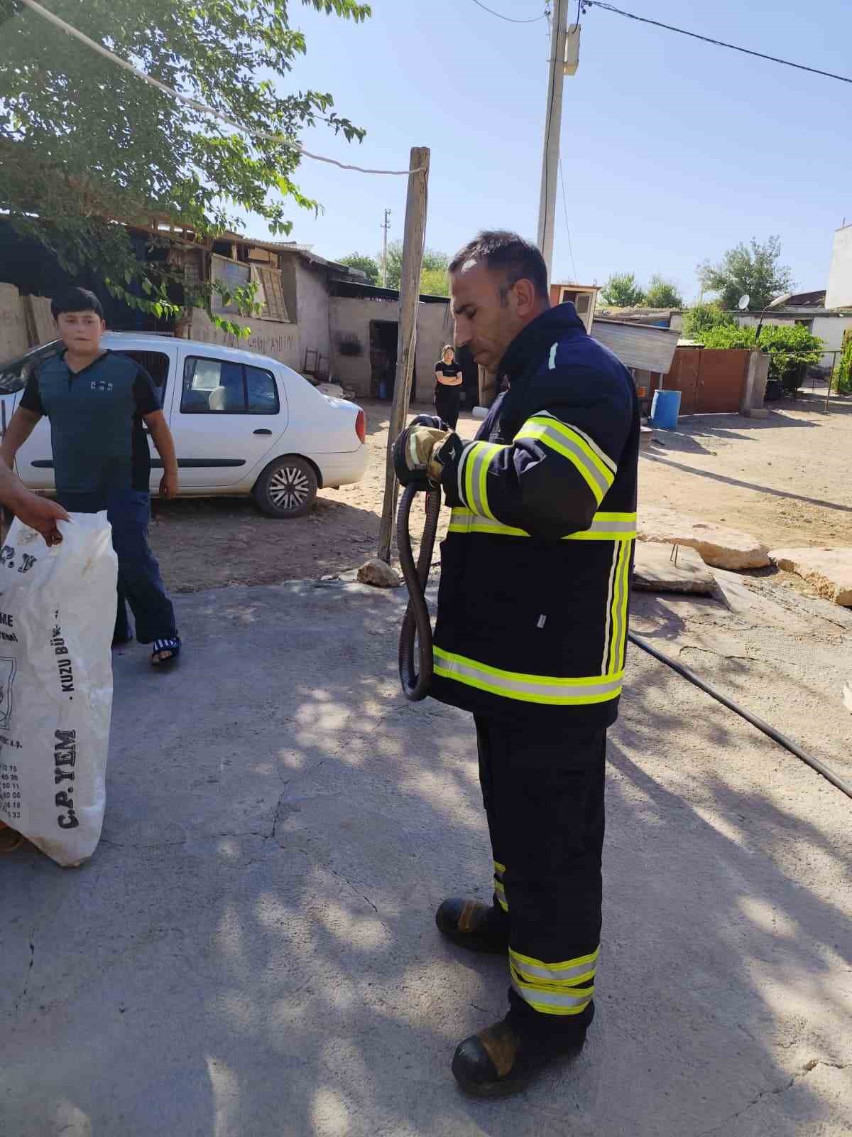 Yatak odasında çığlık attıran görüntü