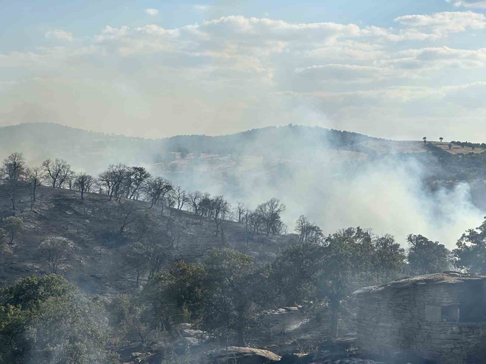 Uşak’ta meşelik alanda çıkan yangına müdahale sürüyor