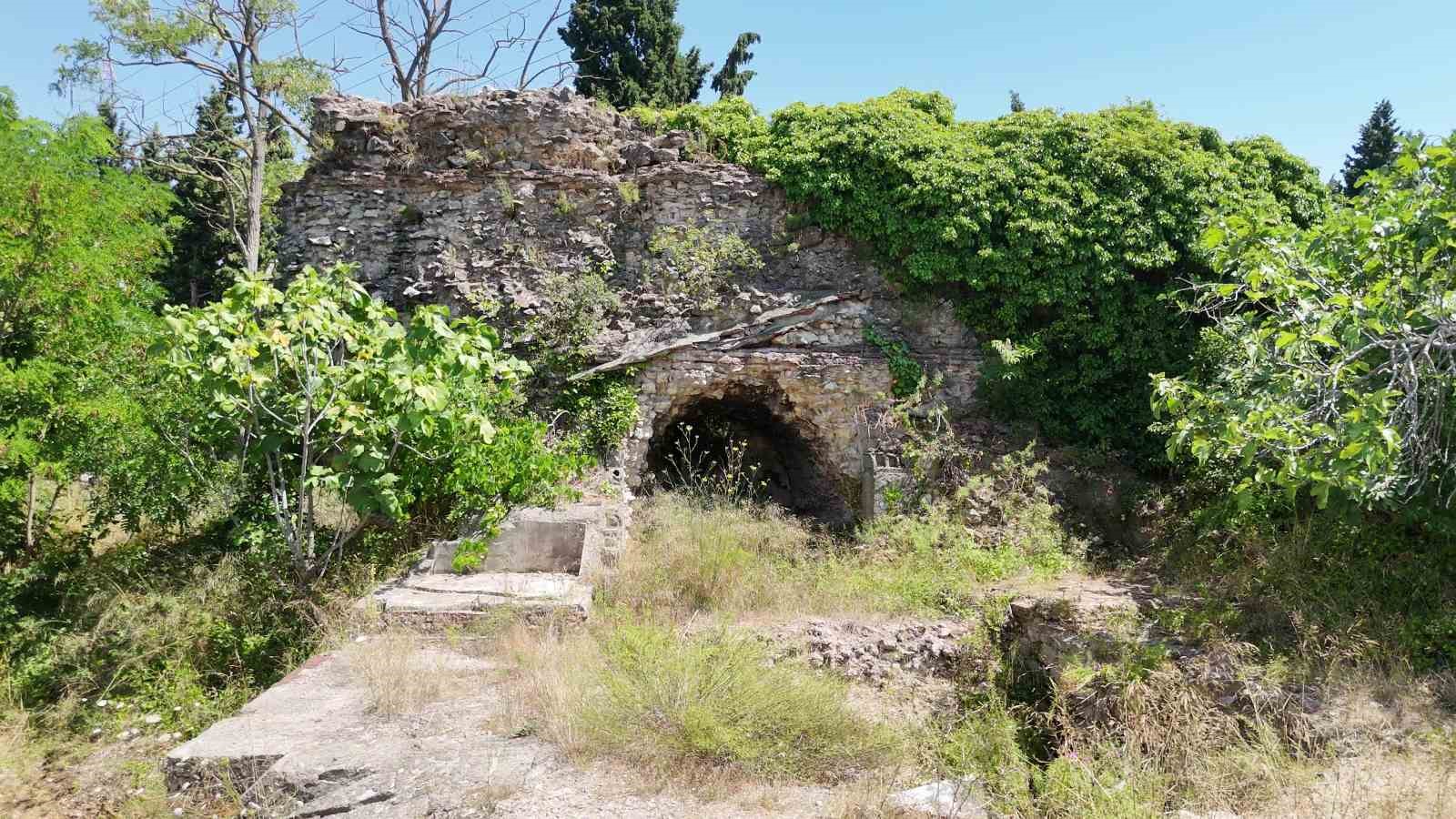 Asırlık sur kalıntıları otlar ve sarmaşıkların arasında kayboldu