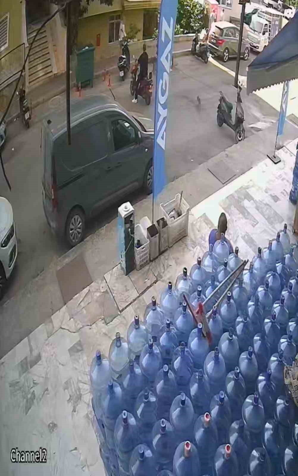 Kediyi yerden alıp fırlattı, görüntülere tepki yağdı