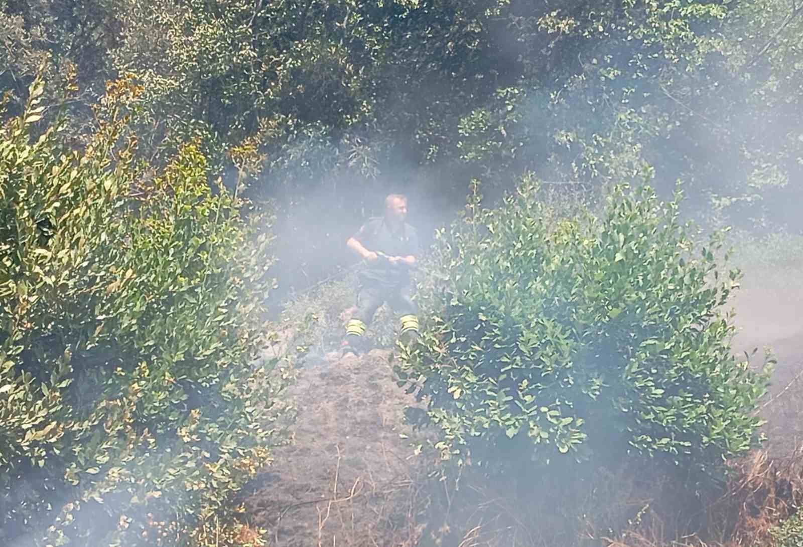 Erdek’te orman yangını ekiplerin ortak çalışmasıyla söndürüldü