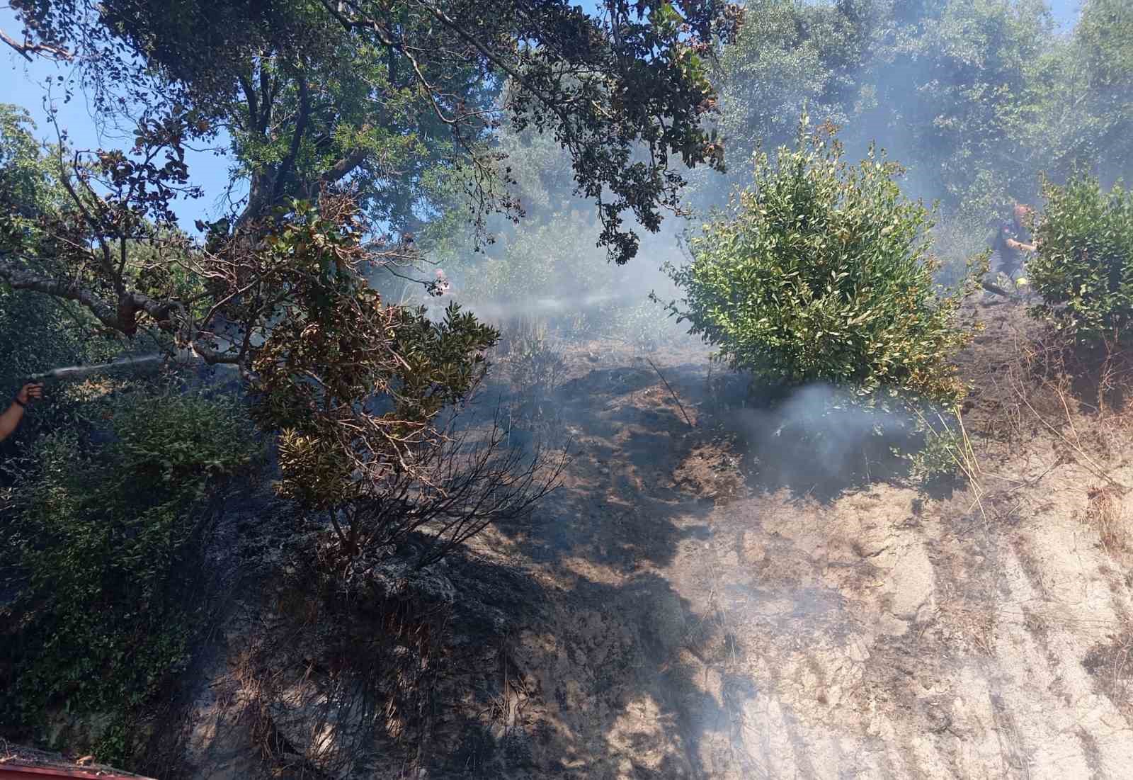 Erdek’te orman yangını ekiplerin ortak çalışmasıyla söndürüldü