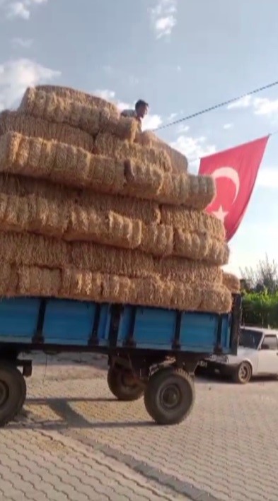 Balyalar üzerinde duygulandıran bayrak sevdası