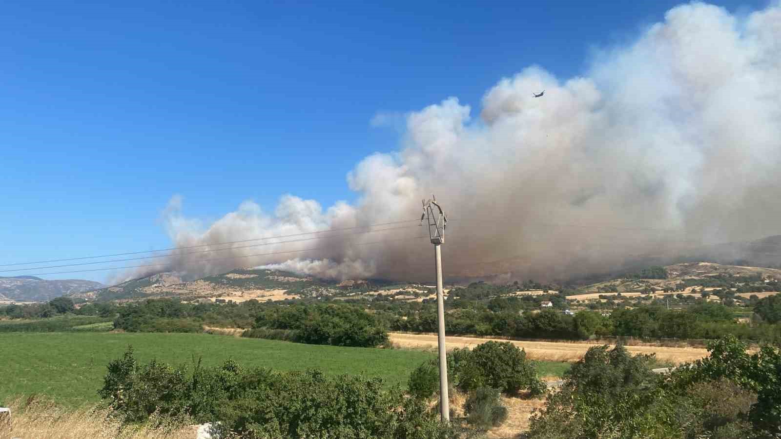 Çanakkale’de orman yangını