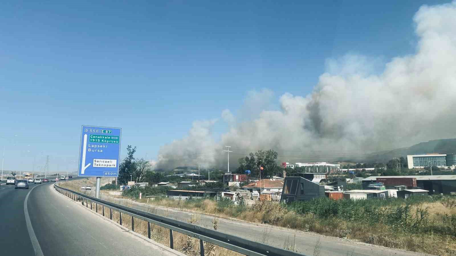 Çanakkale’de orman yangını