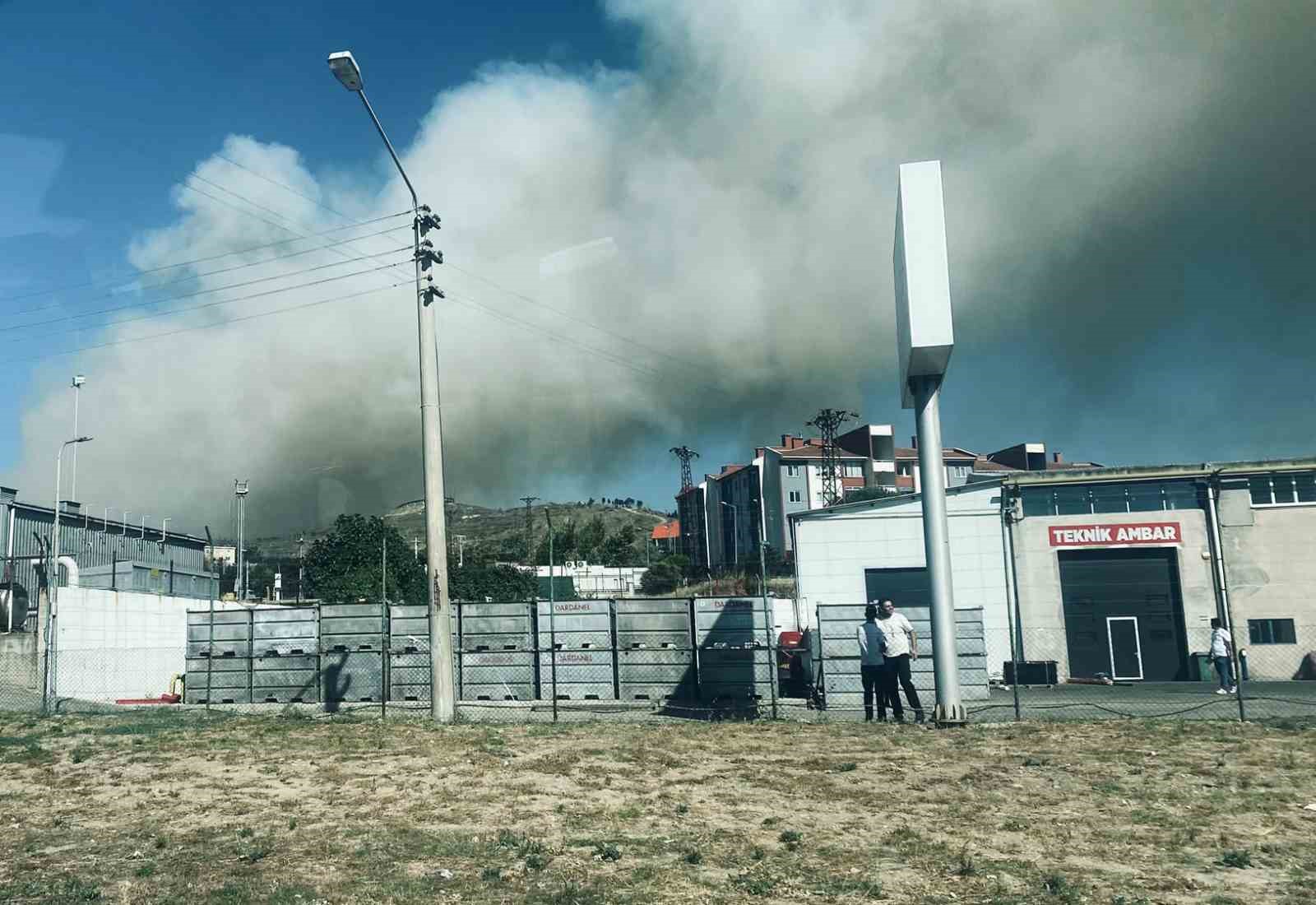 Çanakkale’de orman yangını